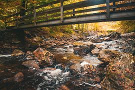 Brücke über plätscherndes Wasser von Hugo Braun
