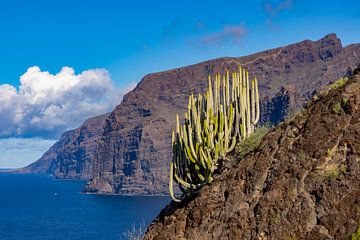 Los Gigantes, kliffen op Tenerife, Spanje van Gert Hilbink