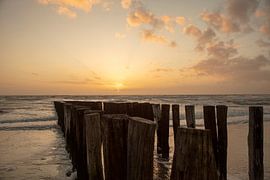 Sonnenuntergang Salzland 2 von anne droogsma