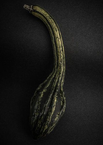Courges n° 9 – Version couleur sur The Learning Curve Photography