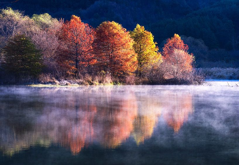 Colorful morning by Tiger Seo