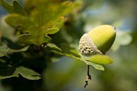 De herfst is begonnen
