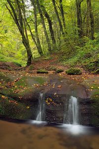 Wasserfall Butzerbachtal im Herbst in der Eifel, Deutschland.
