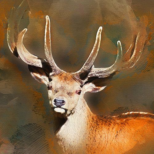 Deer with antlers (closeup)