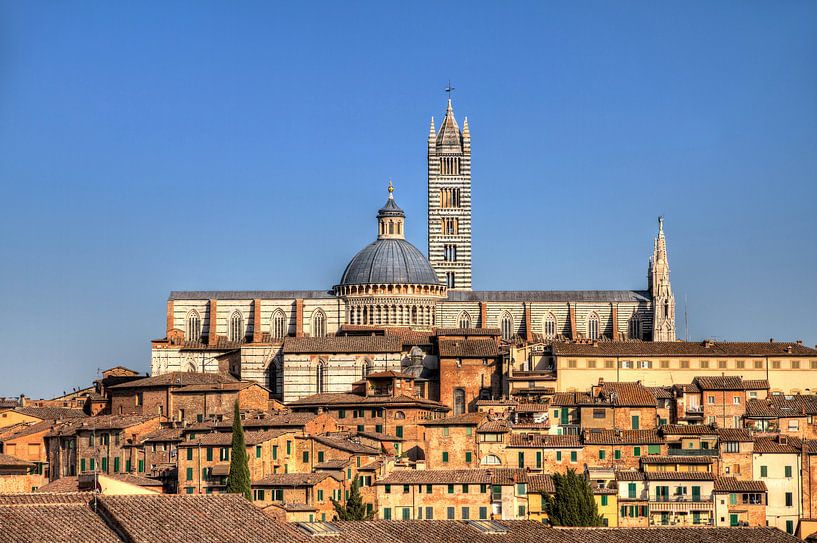 Siena skyline van Dennis van de Water