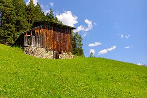 Une grange dans un pré alpin
