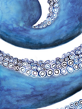 Coral Flow 6