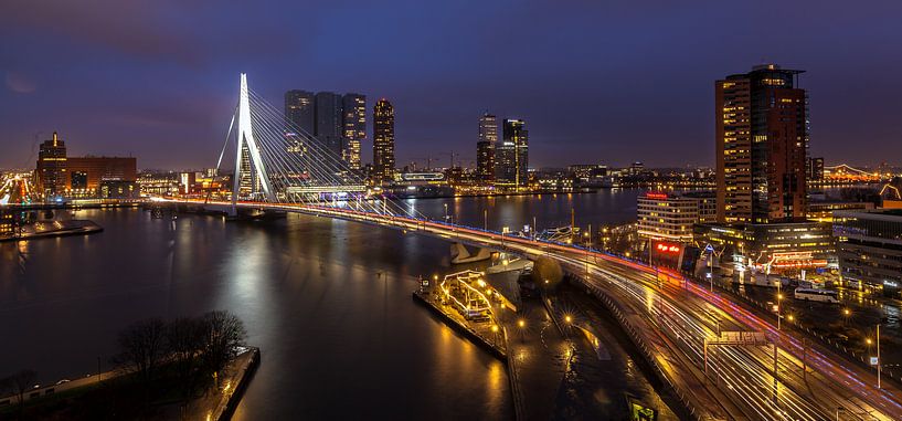 Erasmusbrug  Rotterdam van René Rollema