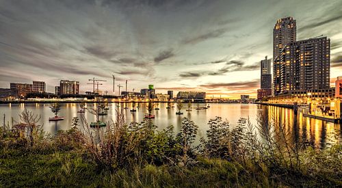 Wilhelmina port Rotterdam
