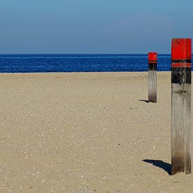 Texel strandpalen  van Elfriede de Jonge Boeree