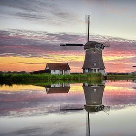 Windmill de Woudaap Krommenie by John Leeninga