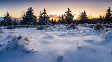 Winter stilte van Steffen Henze