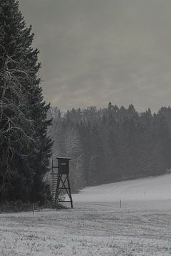 Winterlandschap met verhoogde schuilhut in Lausitz van Holger Spieker