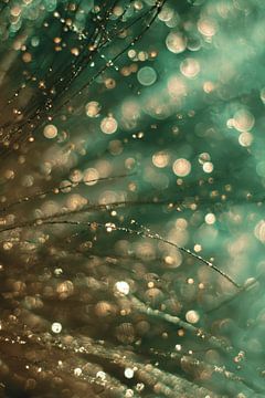 Licht Bokeh Gold Grün in Abstrakt Schleier von Eva Lee