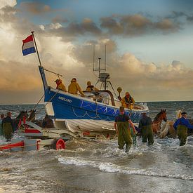 Pferde-Rettungsboot Ameland von Johan Bergsma