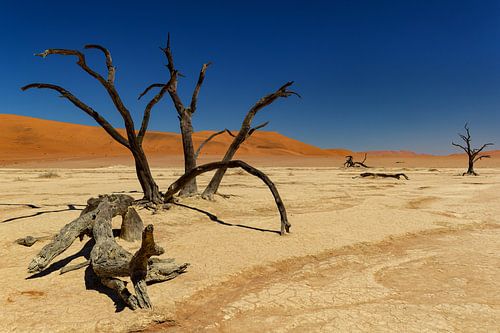 Sossusvlei Namibia (13)