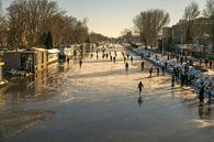 Merwede en hiver par Bart van Lier Aperçu