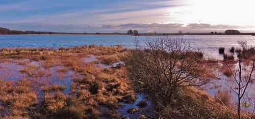 Dwingelderveld - Davidsplassen