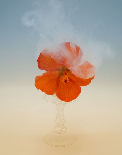 Antike Waage mit Brot und Nebel . von Saskia Dingemans Awarded Photographer