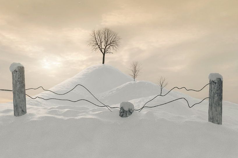 Verschneite Schneelandschaft mit Hügeln und Bäumen von Besa Art