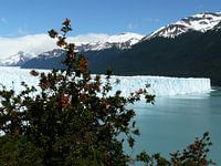 glacier 1