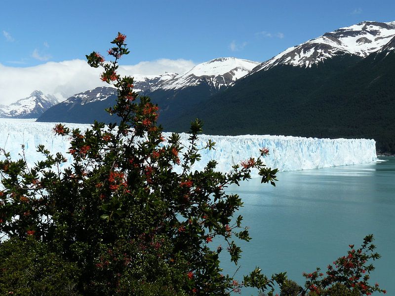 glacier 1 van Gerwin Hulshof