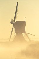 Golden sunrise