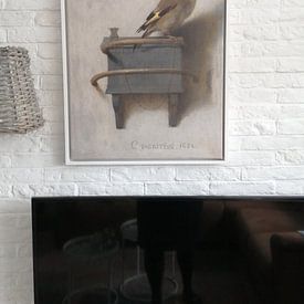 Klantfoto: Het puttertje, Carel Fabritius, op canvas