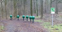 Fitness equipment in a forest - One stage of many by Micha Klootwijk thumbnail