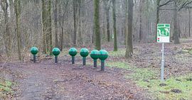 Fitness equipment in a forest - One stage of many van Micha Klootwijk