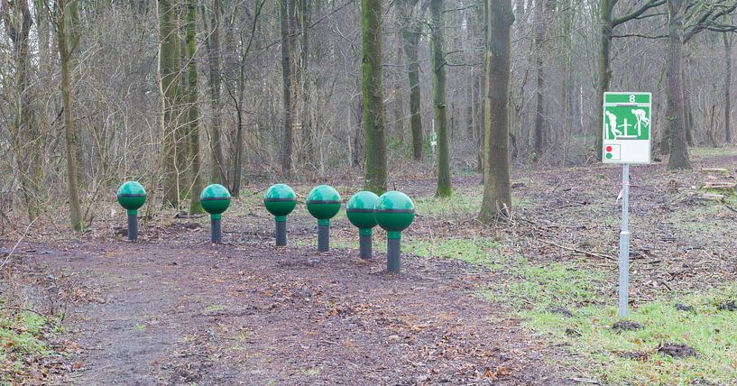 Fitness equipment in a forest - One stage of many by Micha Klootwijk