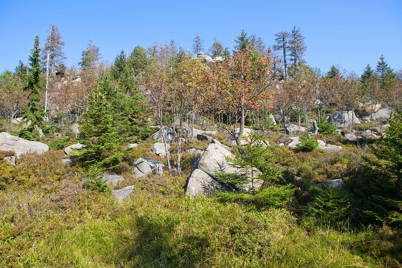 Hiking at the Hohne Cliffs in the Harz Mountains by t.ART