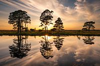 Reflexion