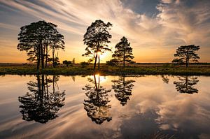 Weerspiegeling