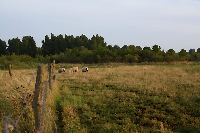 Along the border - grazing sheep in the distance by Masterpiece Living
