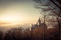 Das Märchenschloss Wernigerode von Oliver Henze Miniaturansicht