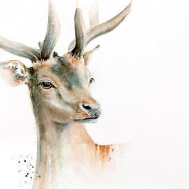 A stately deer in different colors of brown by Atelier DT