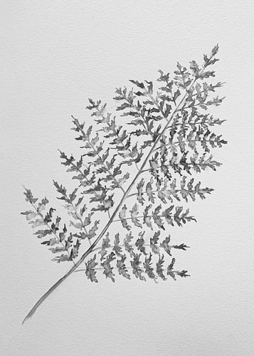 Fern leaf (Black and white) by Bianca ter Riet