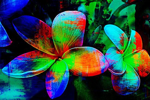 Frangipaniblueten mixed media