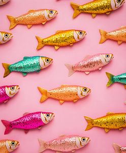 Bunte Fische