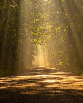 Beam me up, Scotty van Bram Lubbers