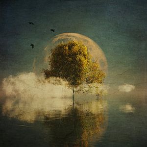 Traumlandschaft - Surreale Landschaft mit gelber Birke und Vollmond