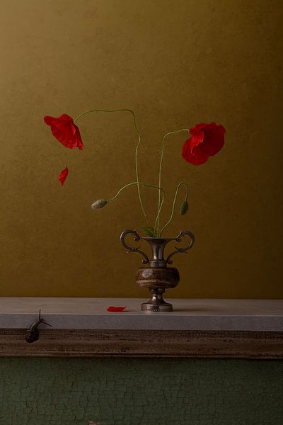 Poppy and snail by Carolien van Schie