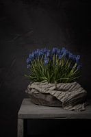 Landelijk stilleven met blauwe druifjes in houten schaal met linnen doek (verticaal)