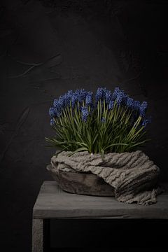 Ländliches Stilleben mit blauen Weintrauben in einer Holzschale mit Leinentuch (vertikal) von Mayra Fotografie