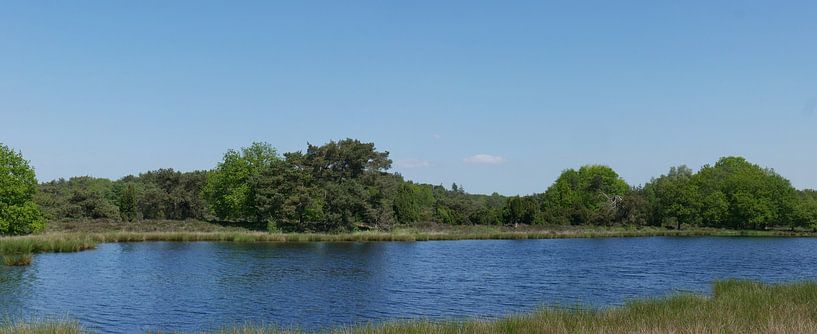 Ven near the Terhosterzand by Wim vd Neut