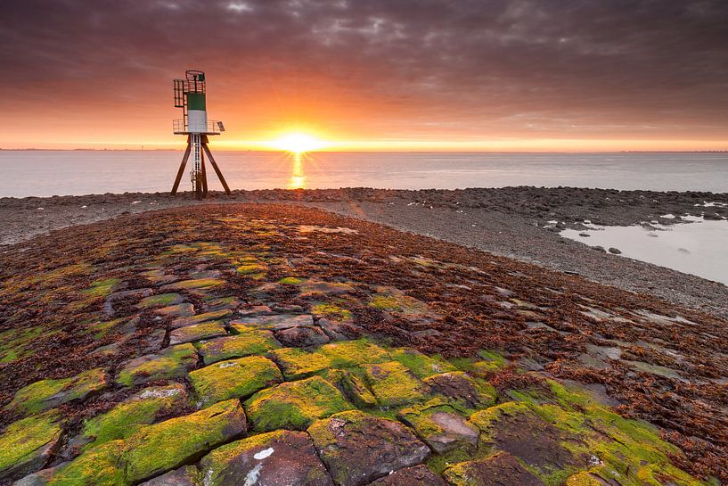 Lightning up the Beacon van Harold van den Berge