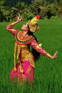 Danseurs balinais Legong dans une rizière