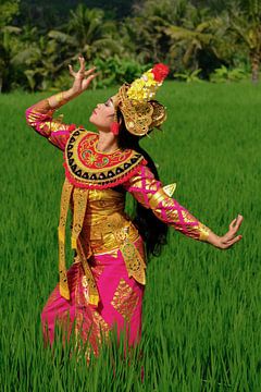 Balinese Legong dancers in rice field by Jan Bouma