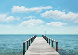 Steiger van Blikvanger Schilderijen